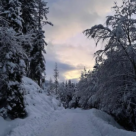 شقة Berghof 