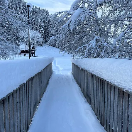 Lejlighed Berghof 